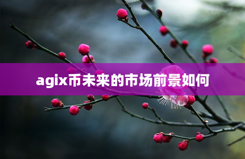 agix币未来的市场前景如何