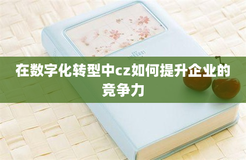 在数字化转型中cz如何提升企业的竞争力