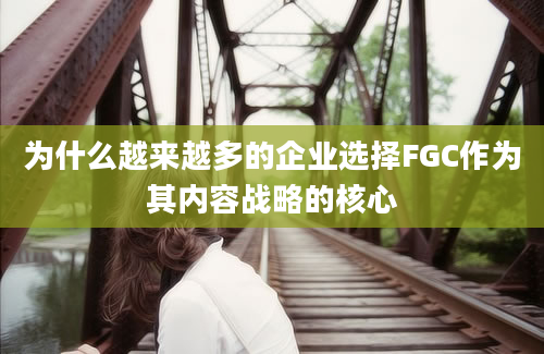 为什么越来越多的企业选择FGC作为其内容战略的核心