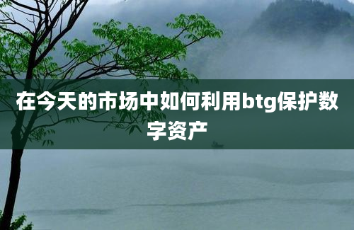 在今天的市场中如何利用btg保护数字资产