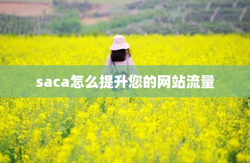 saca怎么提升您的网站流量