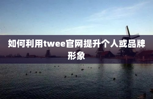 如何利用twee官网提升个人或品牌形象