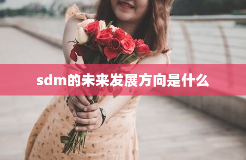 sdm的未来发展方向是什么