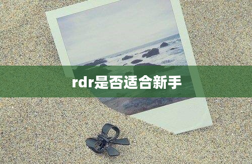 rdr是否适合新手