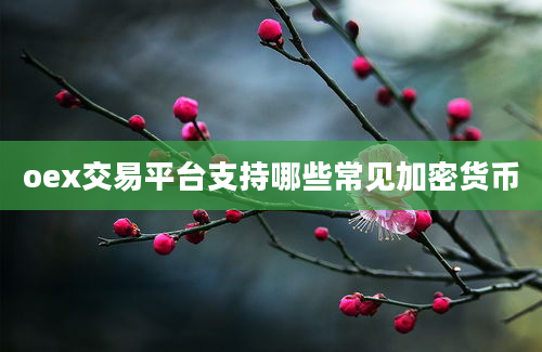 oex交易平台支持哪些常见加密货币