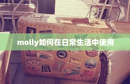 molly如何在日常生活中使用