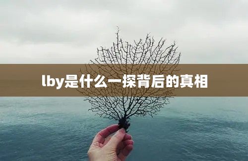 lby是什么一探背后的真相