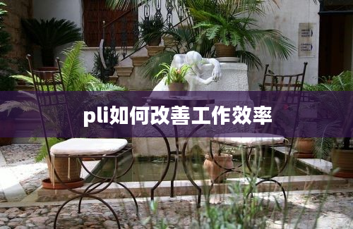 pli如何改善工作效率