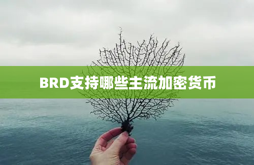 BRD支持哪些主流加密货币