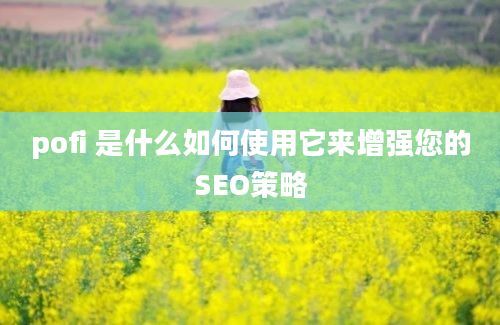 pofi 是什么如何使用它来增强您的SEO策略