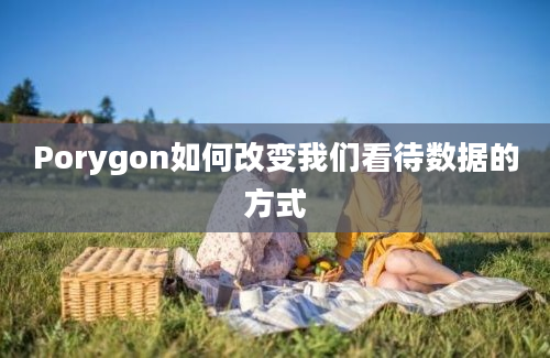 Porygon如何改变我们看待数据的方式