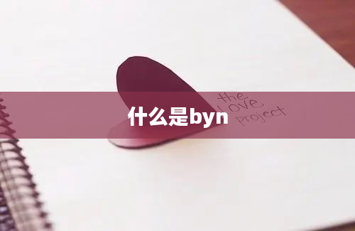 什么是byn