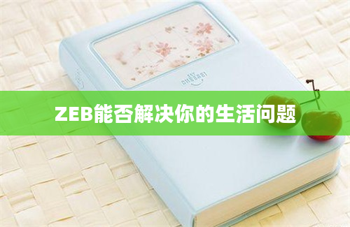 ZEB能否解决你的生活问题