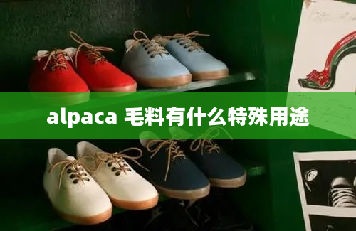 alpaca 毛料有什么特殊用途