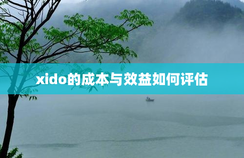 xido的成本与效益如何评估