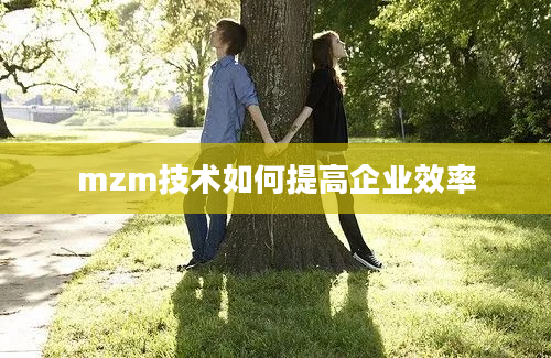 mzm技术如何提高企业效率