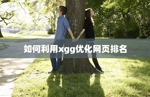 如何利用xgg优化网页排名