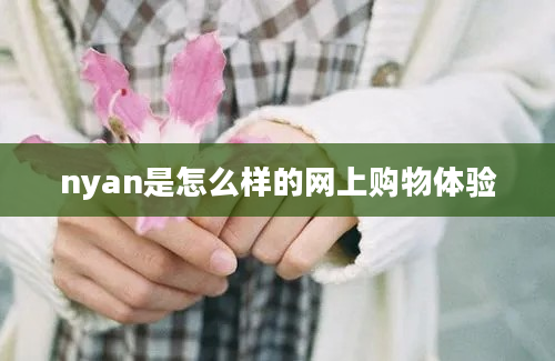 nyan是怎么样的网上购物体验