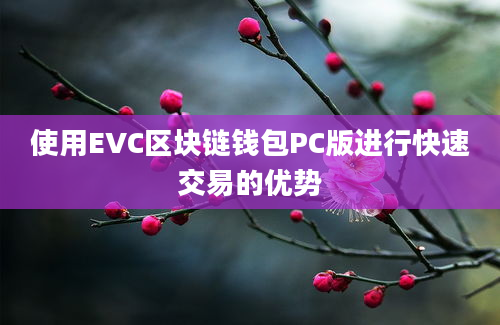 使用EVC区块链钱包PC版进行快速交易的优势