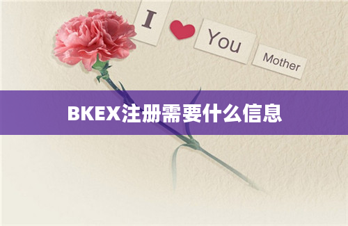 BKEX注册需要什么信息