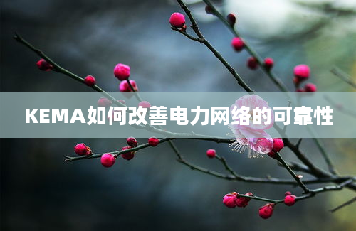 KEMA如何改善电力网络的可靠性