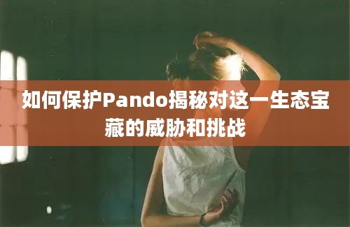 如何保护Pando揭秘对这一生态宝藏的威胁和挑战