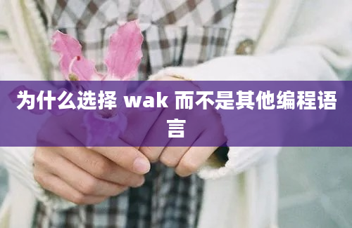 为什么选择 wak 而不是其他编程语言