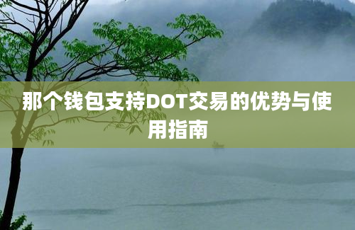 那个钱包支持DOT交易的优势与使用指南