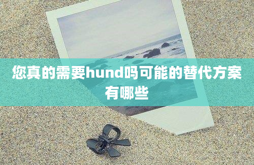 您真的需要hund吗可能的替代方案有哪些