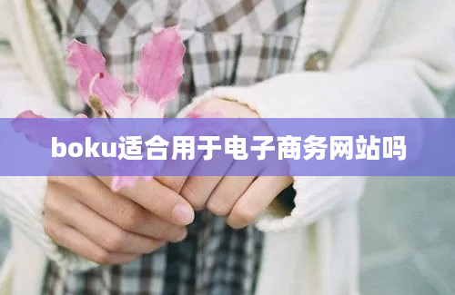 boku适合用于电子商务网站吗