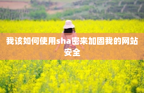 我该如何使用sha密来加固我的网站安全