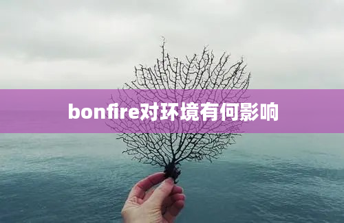 bonfire对环境有何影响