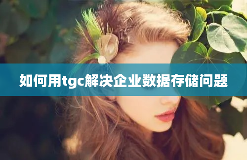 如何用tgc解决企业数据存储问题