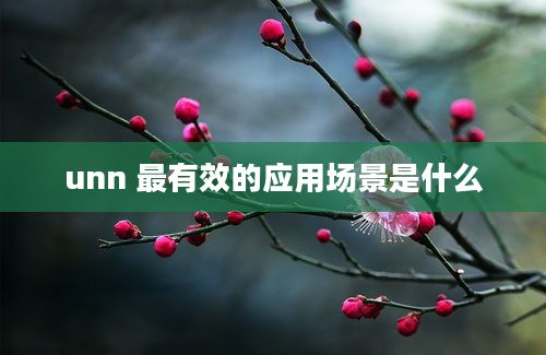 unn 最有效的应用场景是什么