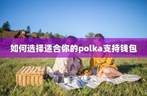 如何选择适合你的polka支持钱包