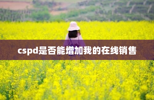 cspd是否能增加我的在线销售