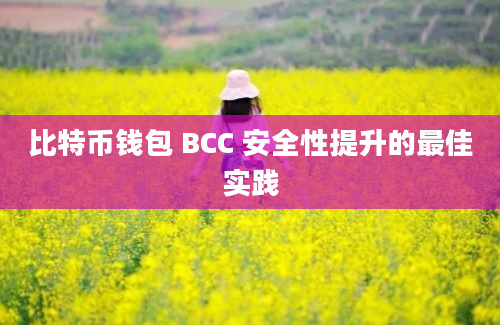 比特币钱包 BCC 安全性提升的最佳实践