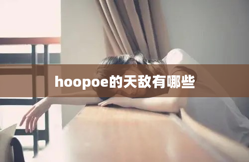 hoopoe的天敌有哪些