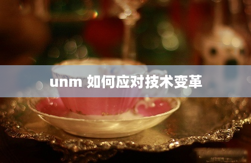 unm 如何应对技术变革