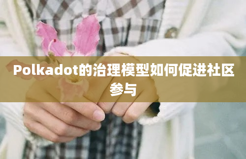 Polkadot的治理模型如何促进社区参与