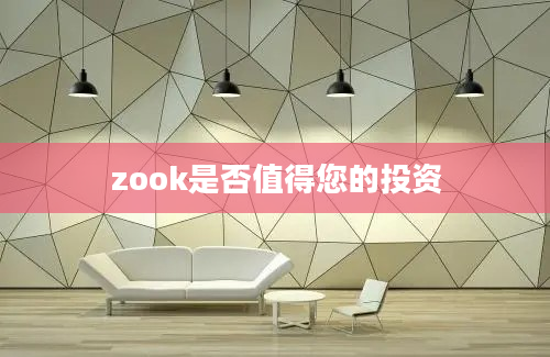 zook是否值得您的投资