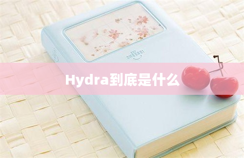 Hydra到底是什么