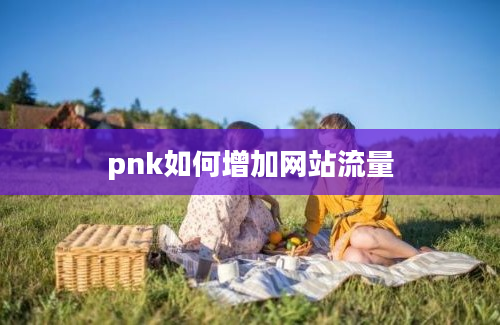 pnk如何增加网站流量