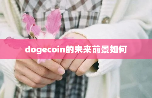 dogecoin的未来前景如何