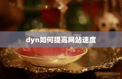 dyn如何提高网站速度