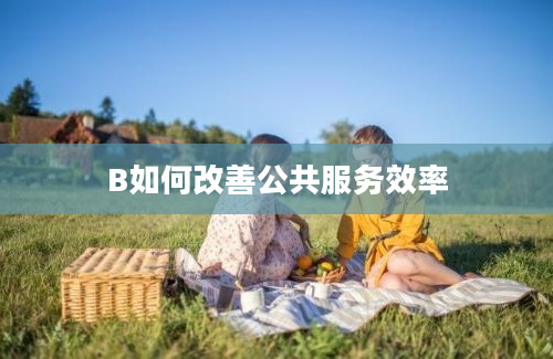 B如何改善公共服务效率