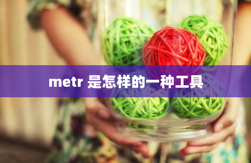 metr 是怎样的一种工具