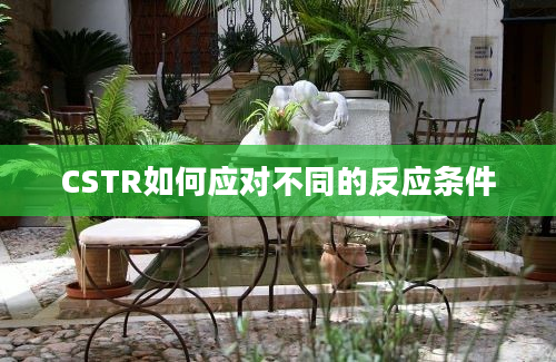 CSTR如何应对不同的反应条件