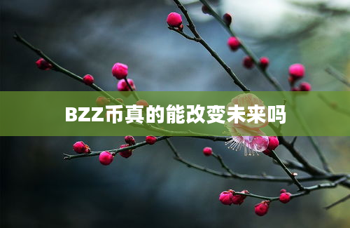 BZZ币真的能改变未来吗