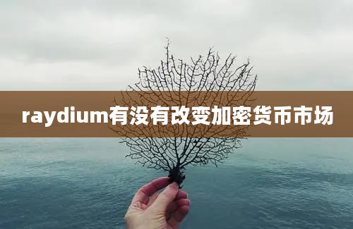 raydium有没有改变加密货币市场